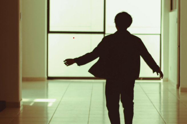 El análisis se hizo a partir de cuestionarios de autodiagnóstico. Foto: Pexels