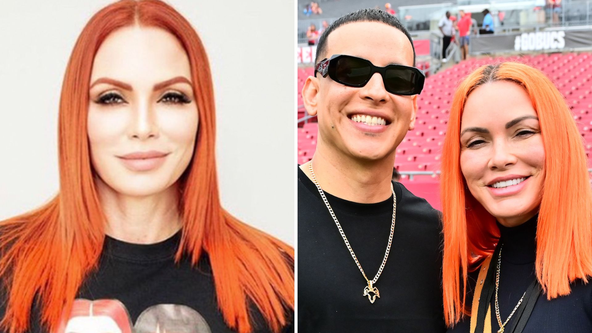 Daddy Yankee, 400 millones, Mireddys González, divorcio, ganancias