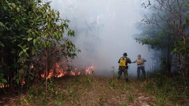 La quema de basura es una de las emergencias más atendidas por los bomberos.