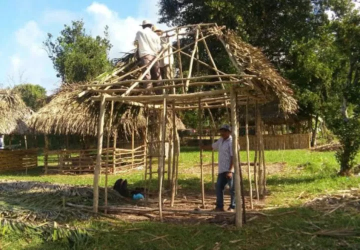 Feria de la Naranja arranca el 29 de enero. Foto: Archivo