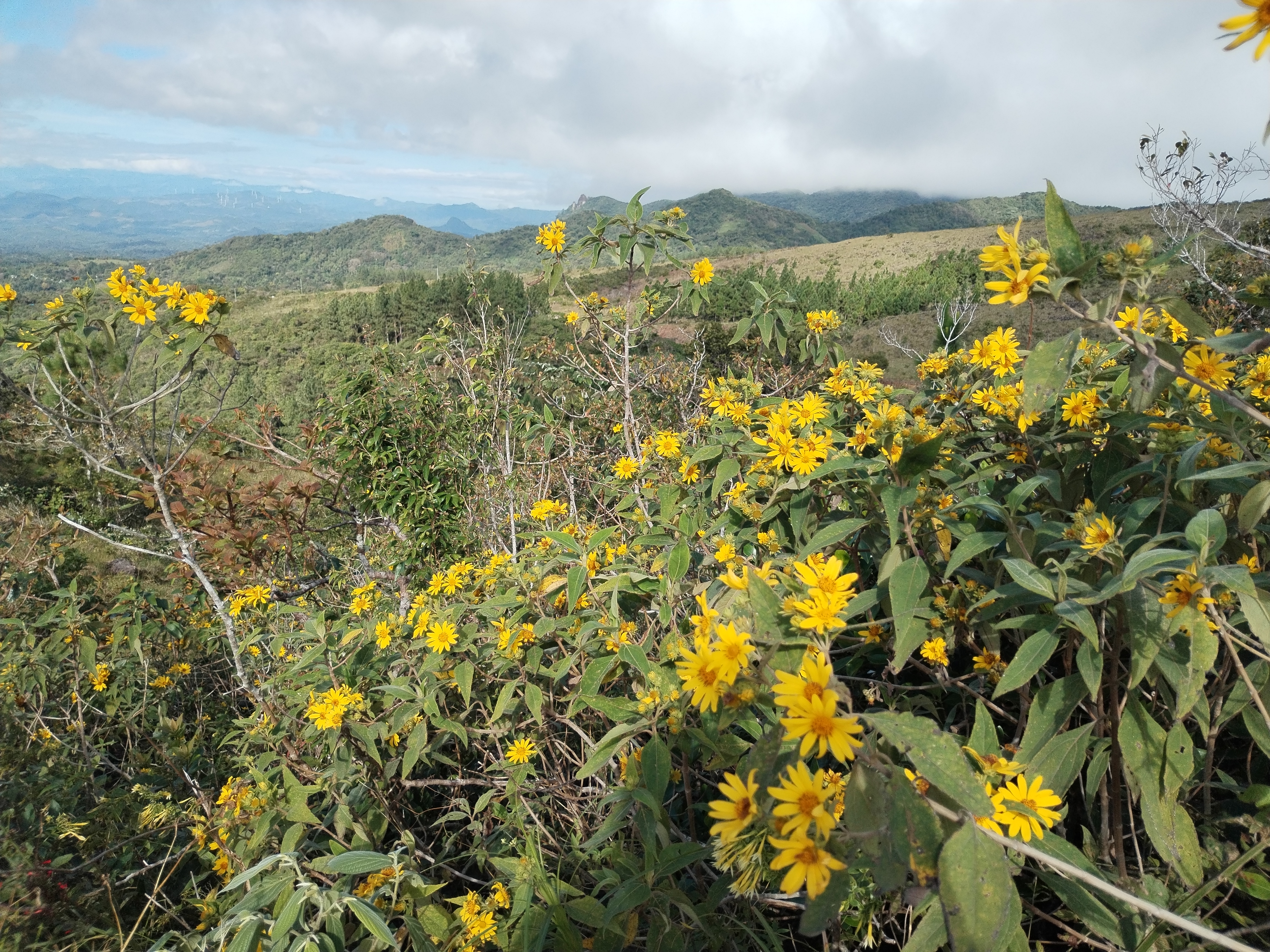 Vistas de las montañas de Coclé. Foto: Maricarmen Camargo