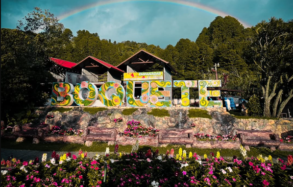 Esta festividad, consolidada desde hace años, destaca la belleza floral y la calidad de los cafés locales. Foto: Instagram