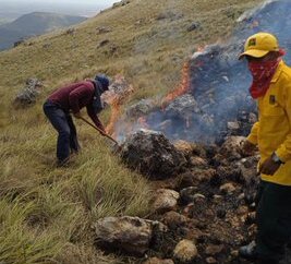 Daños graves al medio ambiente.