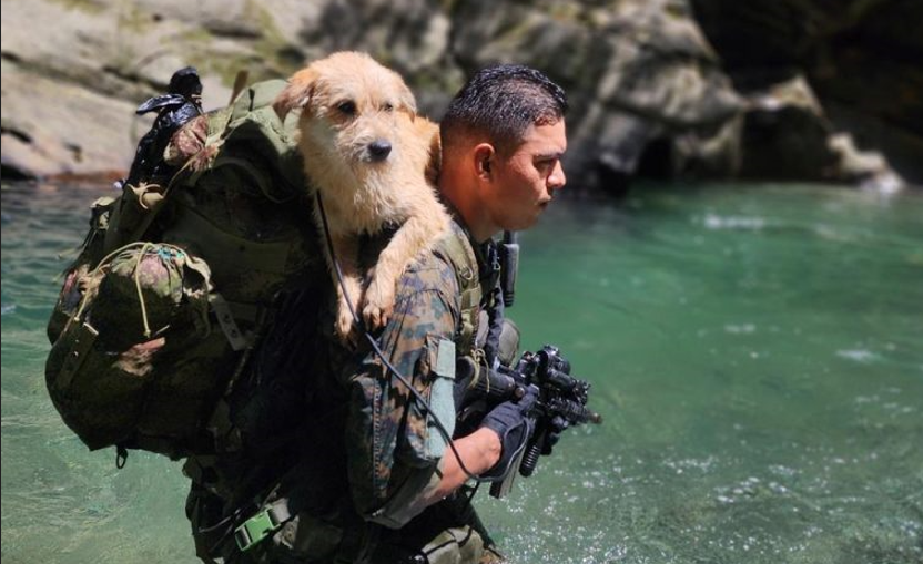 Teniente Marino Aguirre carga al can en sus hombros. Foto: Cortesía