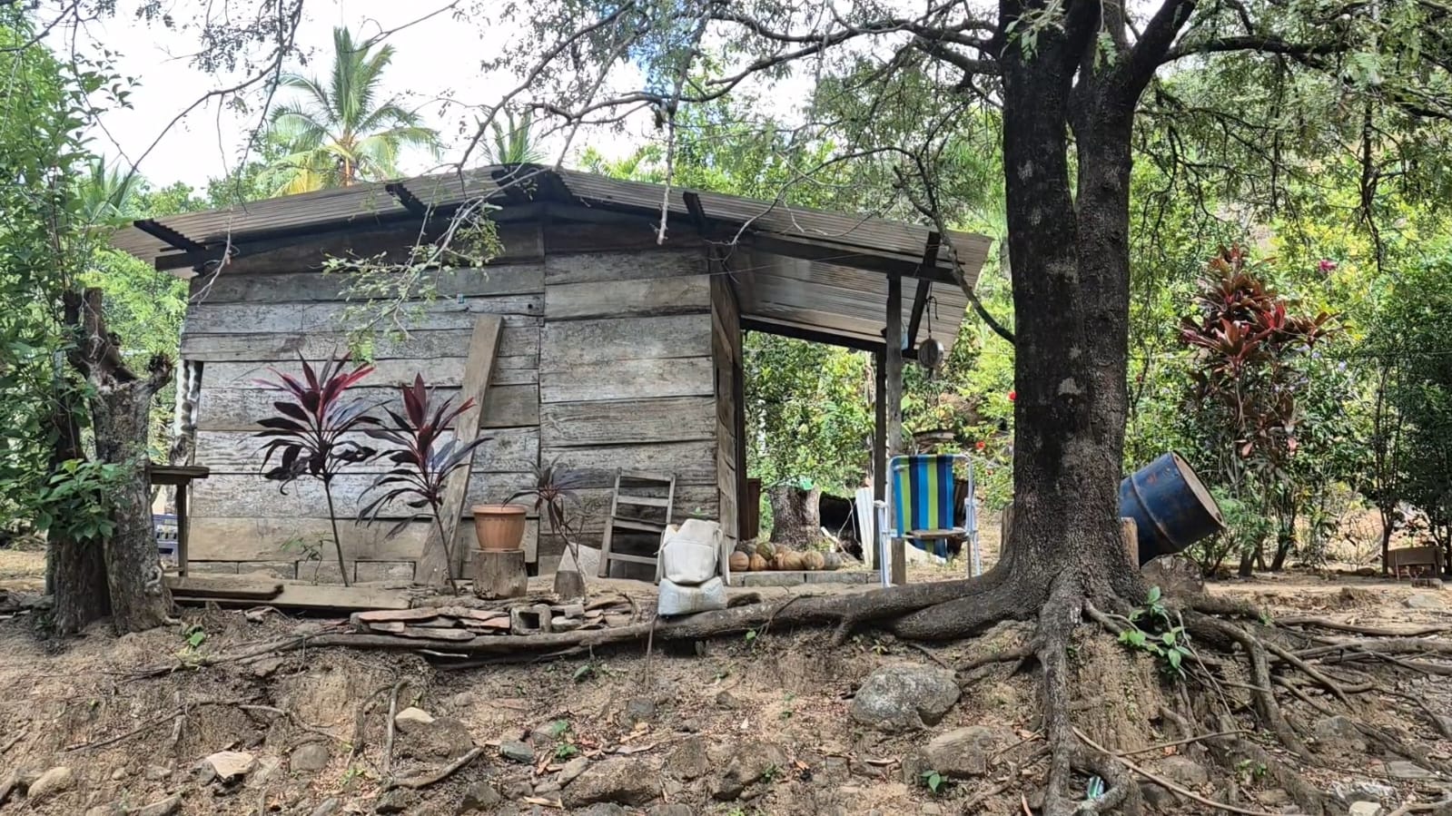 Sus habitantes no cuentan con los servicios básicos.