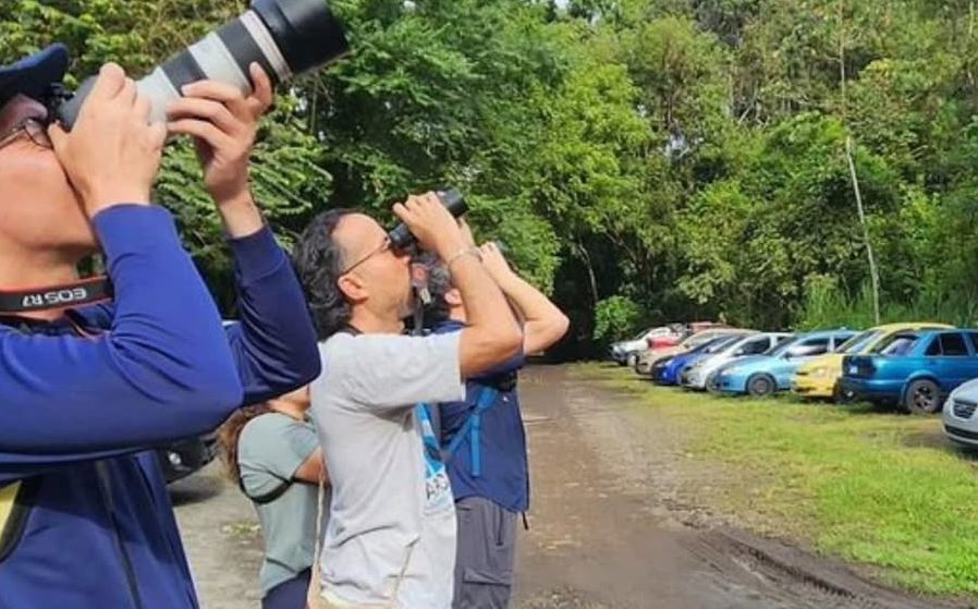 El Biomuseo tendrá el domingo observación de aves. Foto: @parquesummit
