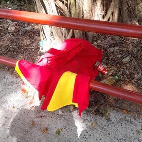 Daños a la bandera Guna.
