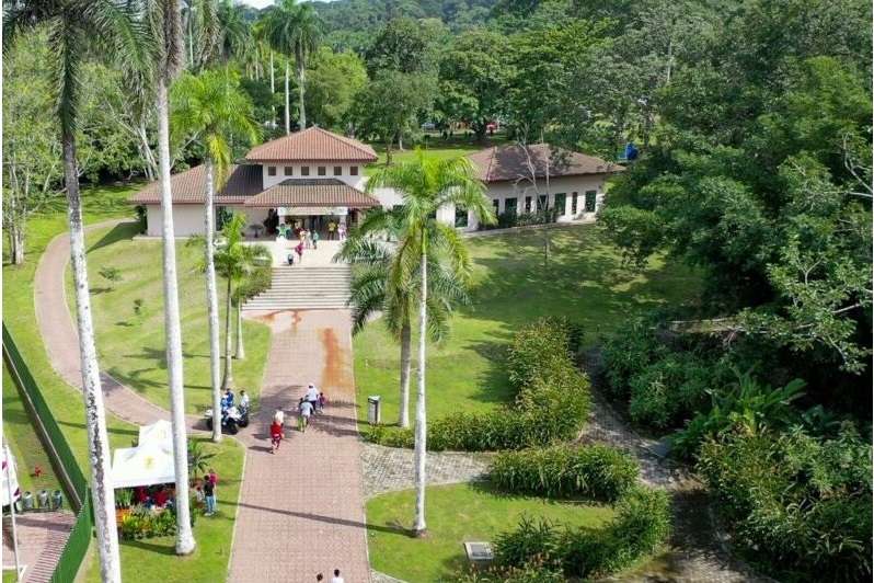El Parque Municipal Summit es un refugio de vida silvestre donde residen unos 200 animales rescatados. Foto: Cortesía