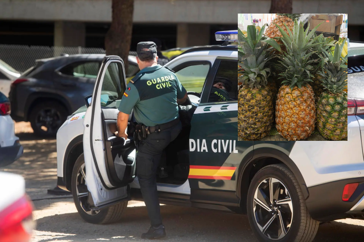 España, 304 kilos, piña, doble fondo, contenedor, transportaba