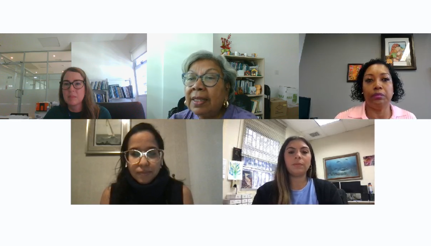 Webinar por el "Día Internacional de la Niña y la Mujer en la Ciencia". Foto: Captura de pantalla del foro