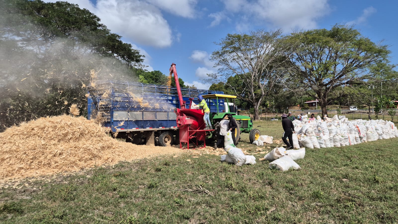 Productores de maíz.