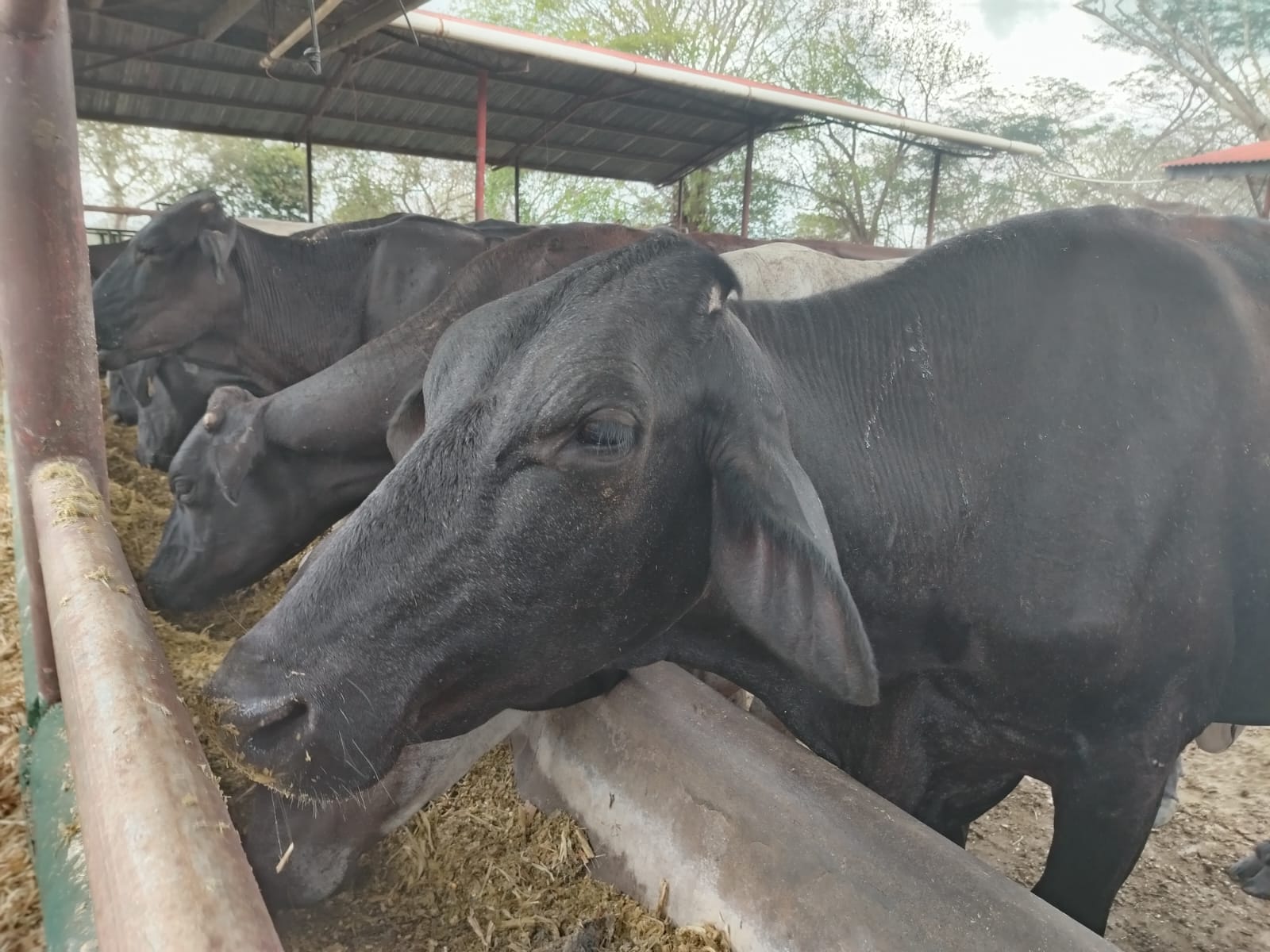 El INA reitera que la institución es de puertas abiertas y aclara falsos señalamientos. Foto: Cortesía
