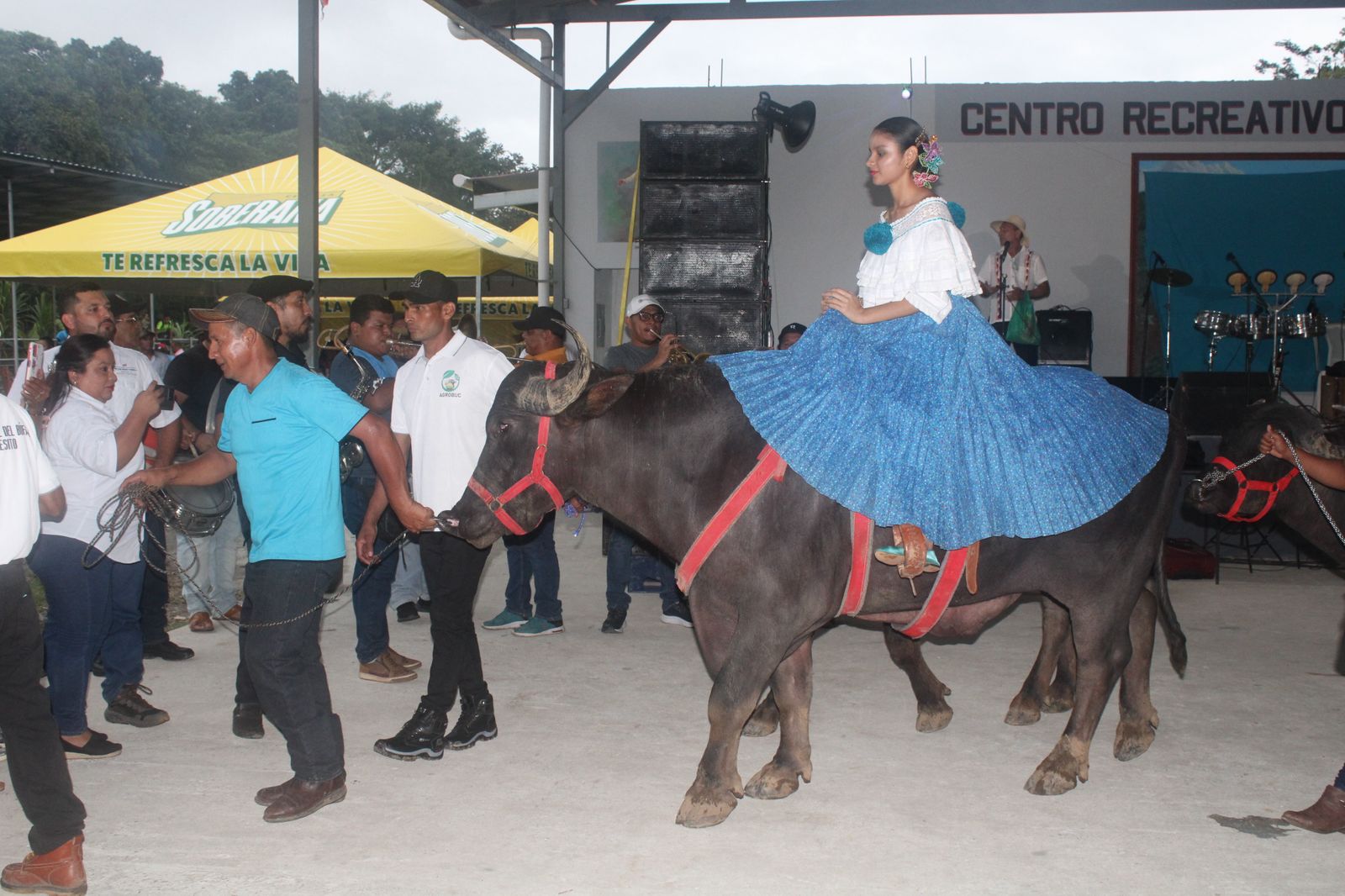 Coclesito abre sus puertas para exhibir el legado del búfalo. Foto: Cortesía