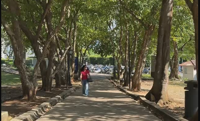 El Parque Omar recibirá al Festival Vibra Panamá. Foto: Instagram
