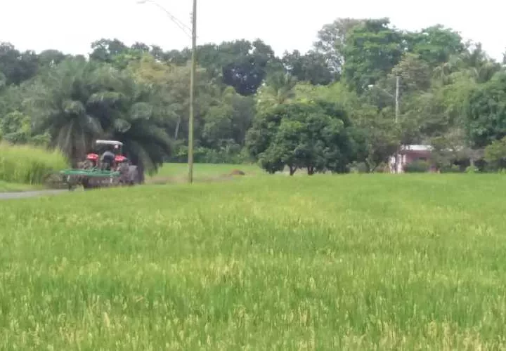 Piden al Gobierno Nacional que se les pague.