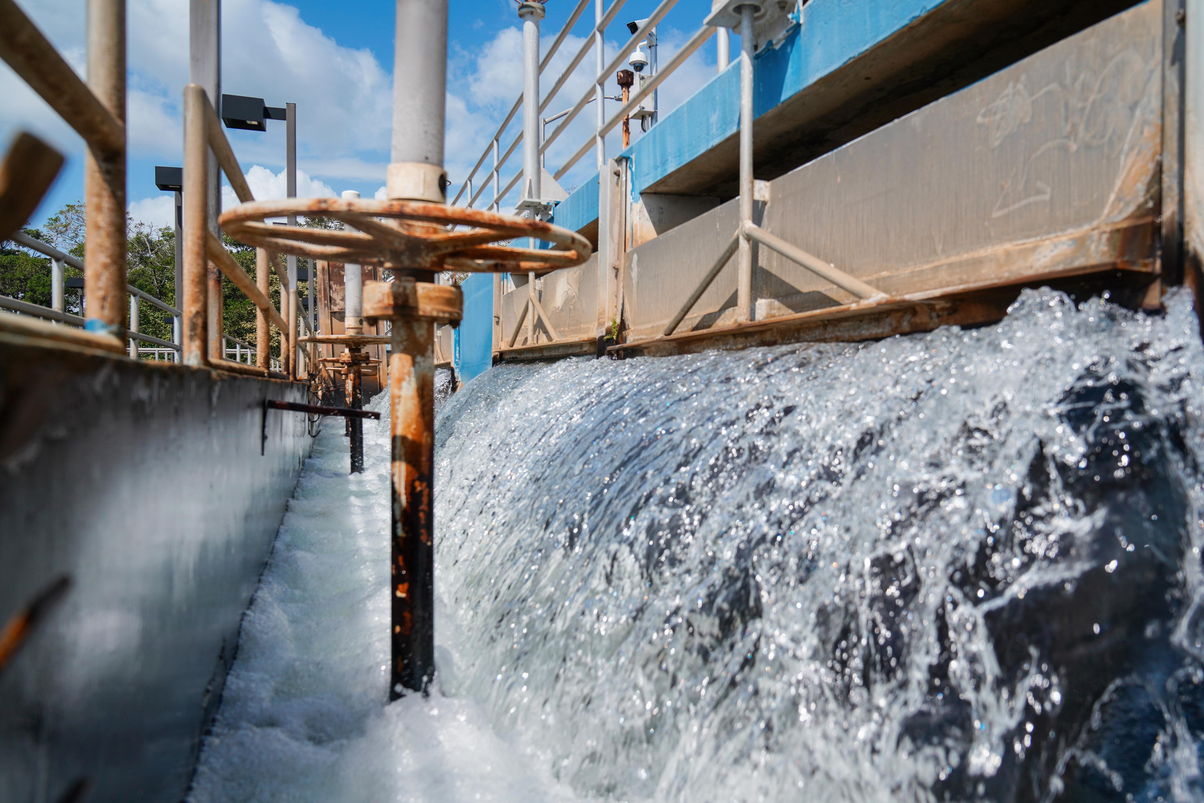 Recoja agua para las horas que no habrá.