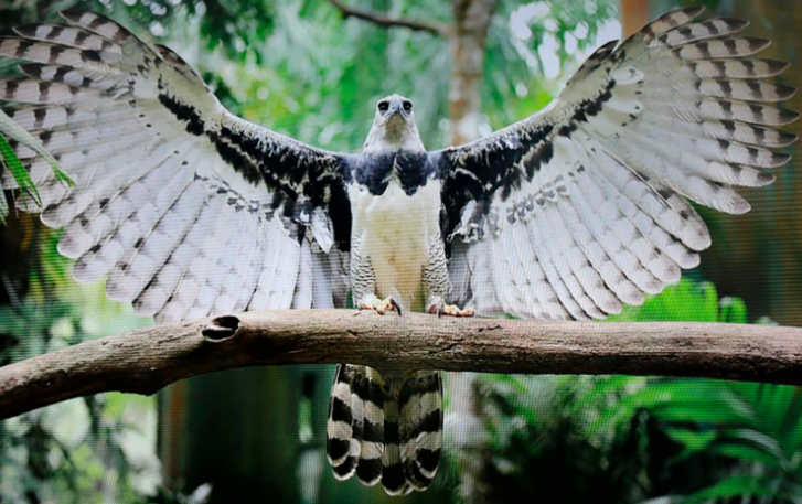 Este concurso se realiza desde hace 16 años. Foto: Cortesía