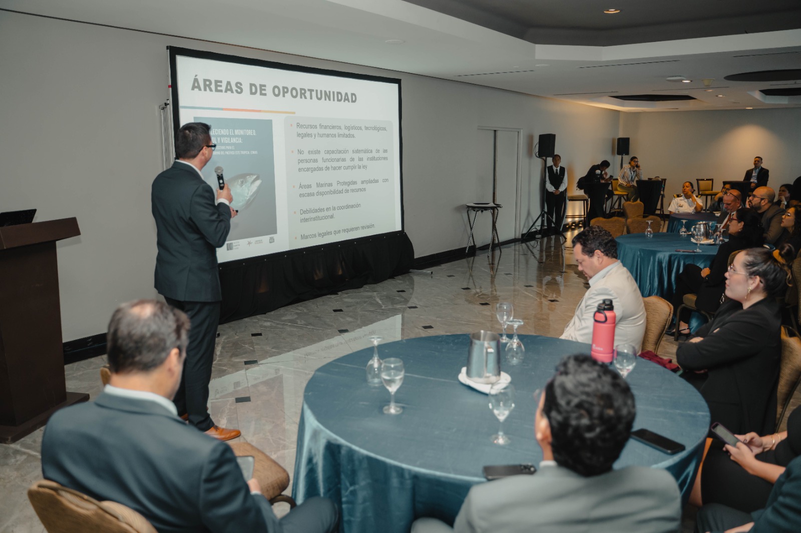 El PET es un ecosistema marino vibrante y diverso, vital para la reproducción, migración y distribución de fauna salvaje. Foto: Cortesía