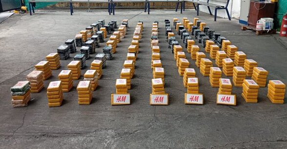 Los paquetes de droga ocultos en un contenedor entre una carga de azúcar orgánica.