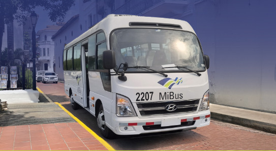 Nueva ruta de bus en el Casco Antiguo.