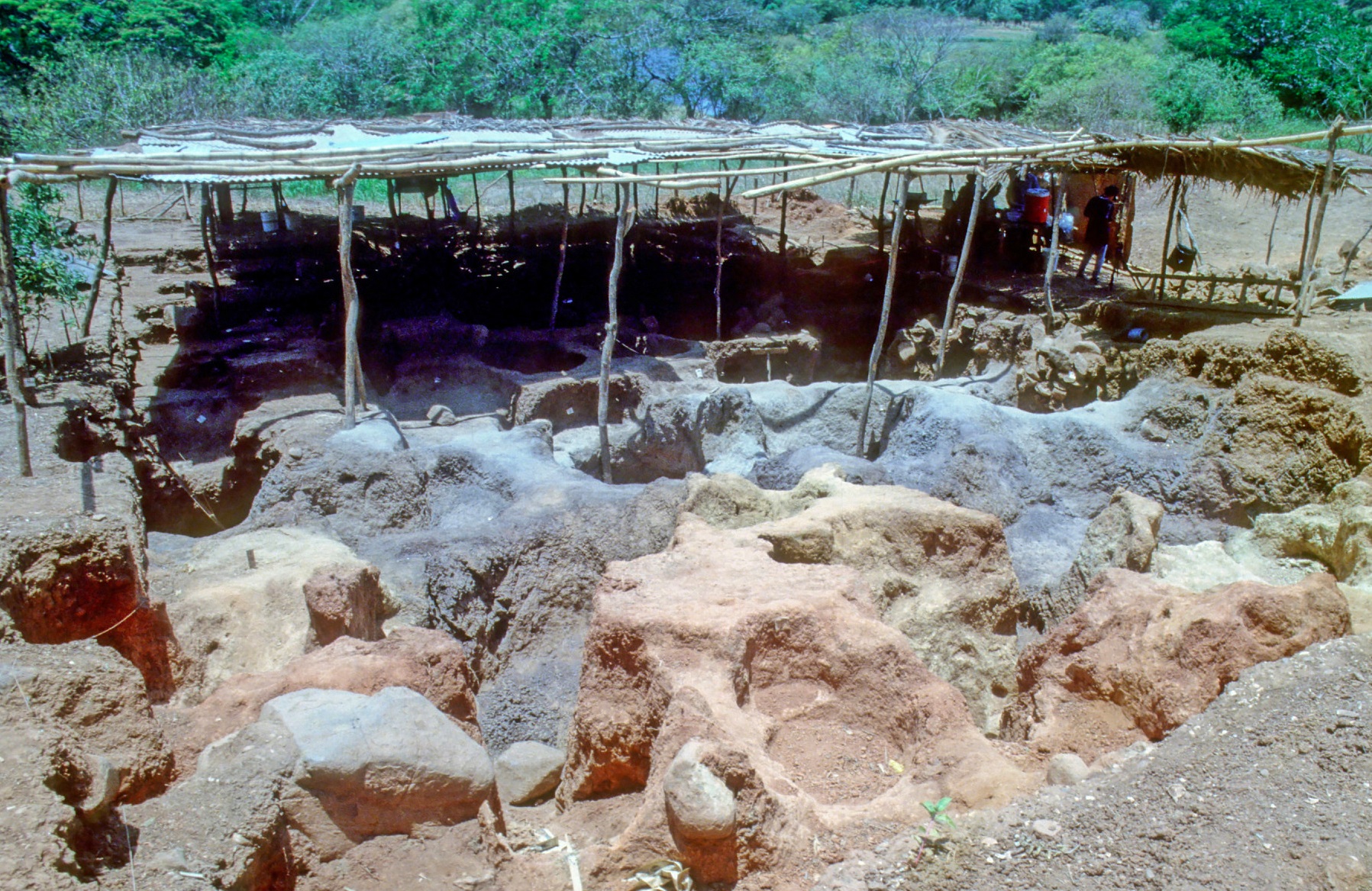  Arqueólogos estudian las conexiones entre los difuntos enterrados en el Cerro Juan Díaz, Panamá. Foto:  Laboratorio de Arqueología de STRI