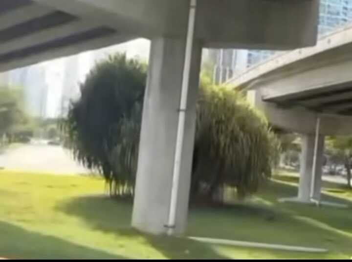 Área donde ocurrió el accidente fatal.