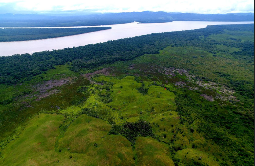 Complejo de Humedales de Matusagaratí es designado como Sitio Ramsar, el sexto de Panamá. Foto: Cortesía