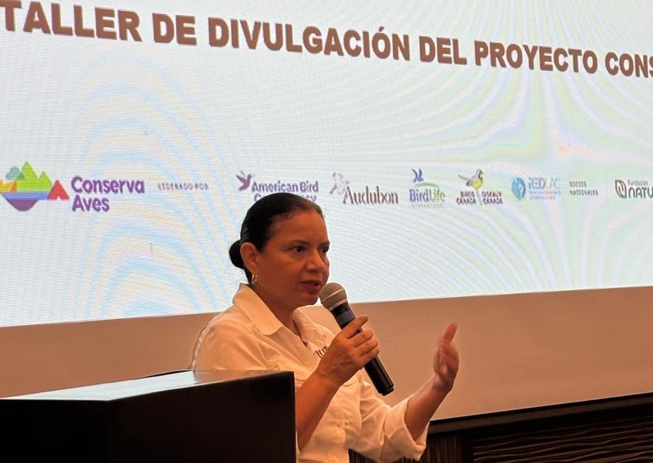 Gracias al enfoque de Conserva Aves, Panamá conservará las especies de aves amenazadas, endémicas y migratorias. Foto: Cortesía