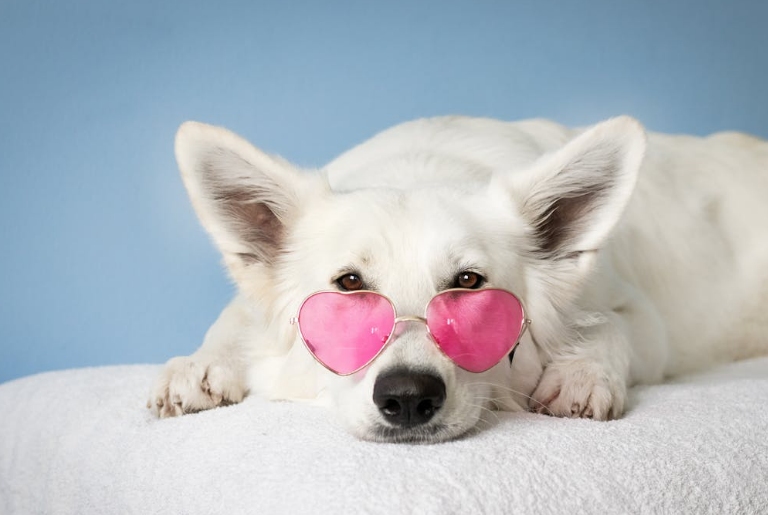 La epilepsia se divide en fases. Foto: Pexels