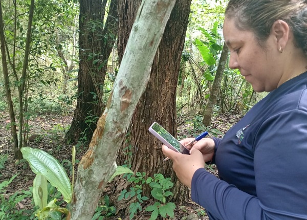 Panamá cuenta con más de 100 áreas protegidas, de las cuales 20 son parques nacionales. Foto: Cortesía