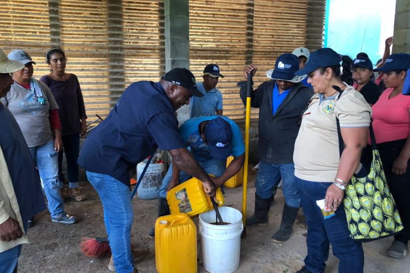 Se busca fomentar una agricultura más saludable, sostenible y amigable con el entorno. Foto: Cortesía