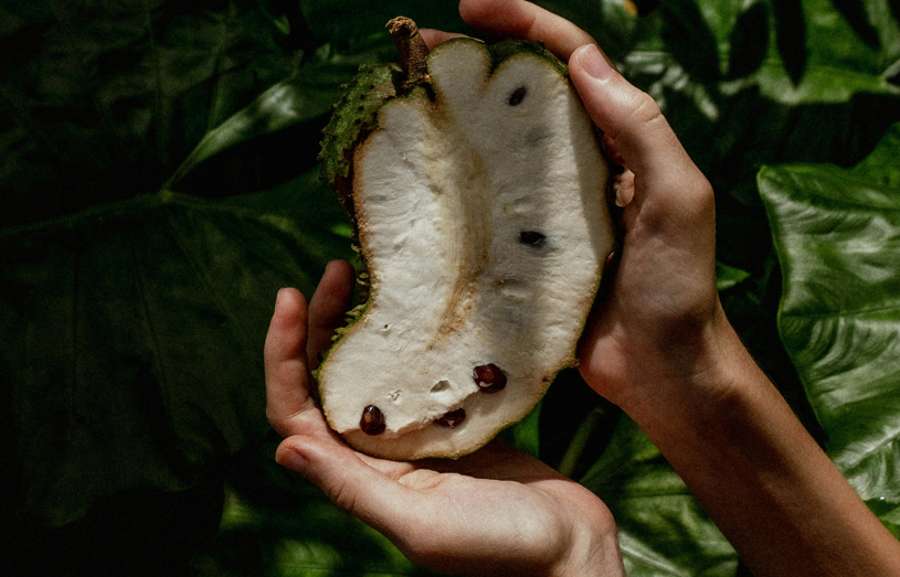 Su alto contenido de antioxidantes y fibra aporta beneficios para la salud digestiva e inmunológica. Foto: Pexels