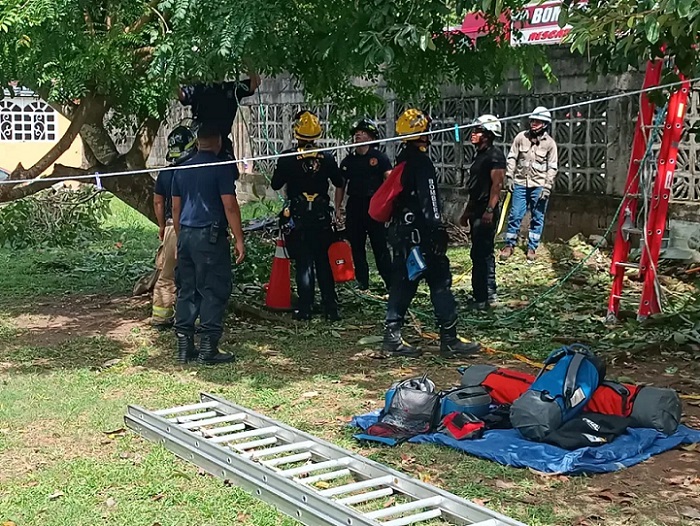 Una rama hizo contacto con un cable de alta tensión del tendido eléctrico, provocando el accidente.  /  Foto: BCBRP