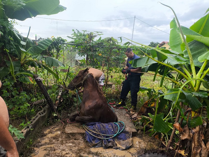 Toda la parte trasera del equipo quedó dentro de la fosa séptica.  /  Foto: BCBRP