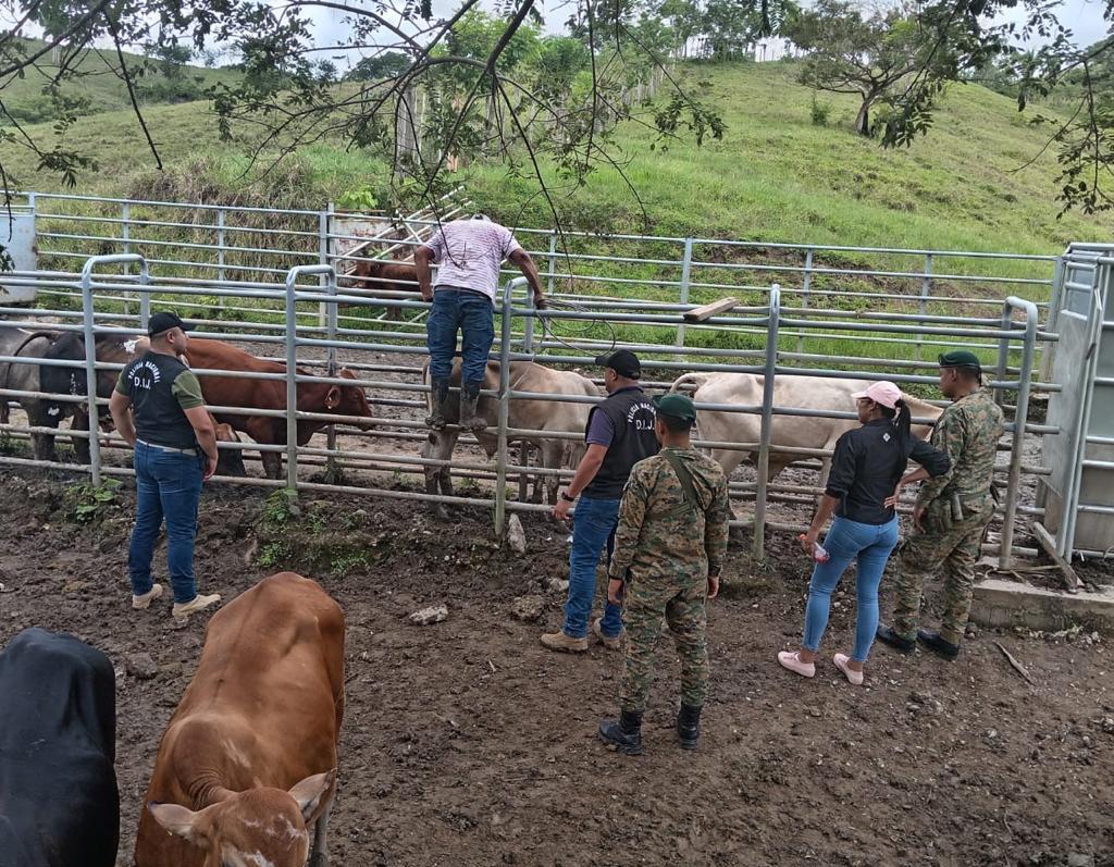 DIJ y personal del Senafront durante el operativo.
