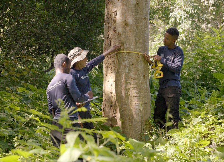 La distinción fue otorgada por la Unión Internacional para la Conservación de la Naturaleza. Foto: Cortesía