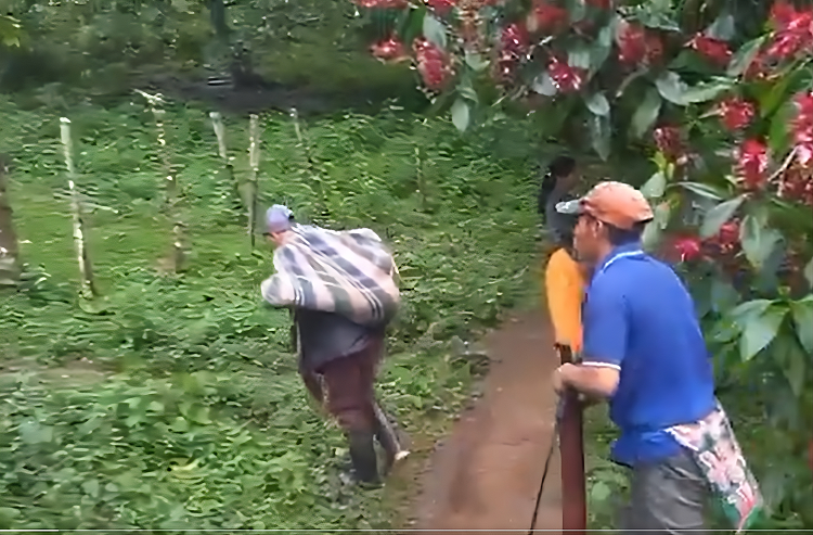 Un profesor carga el cuerpo de una de las estudiantes fallecidas.