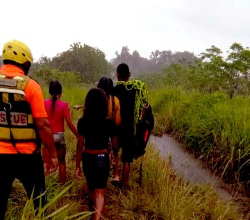 Fueron trasladados a un punto seguro.