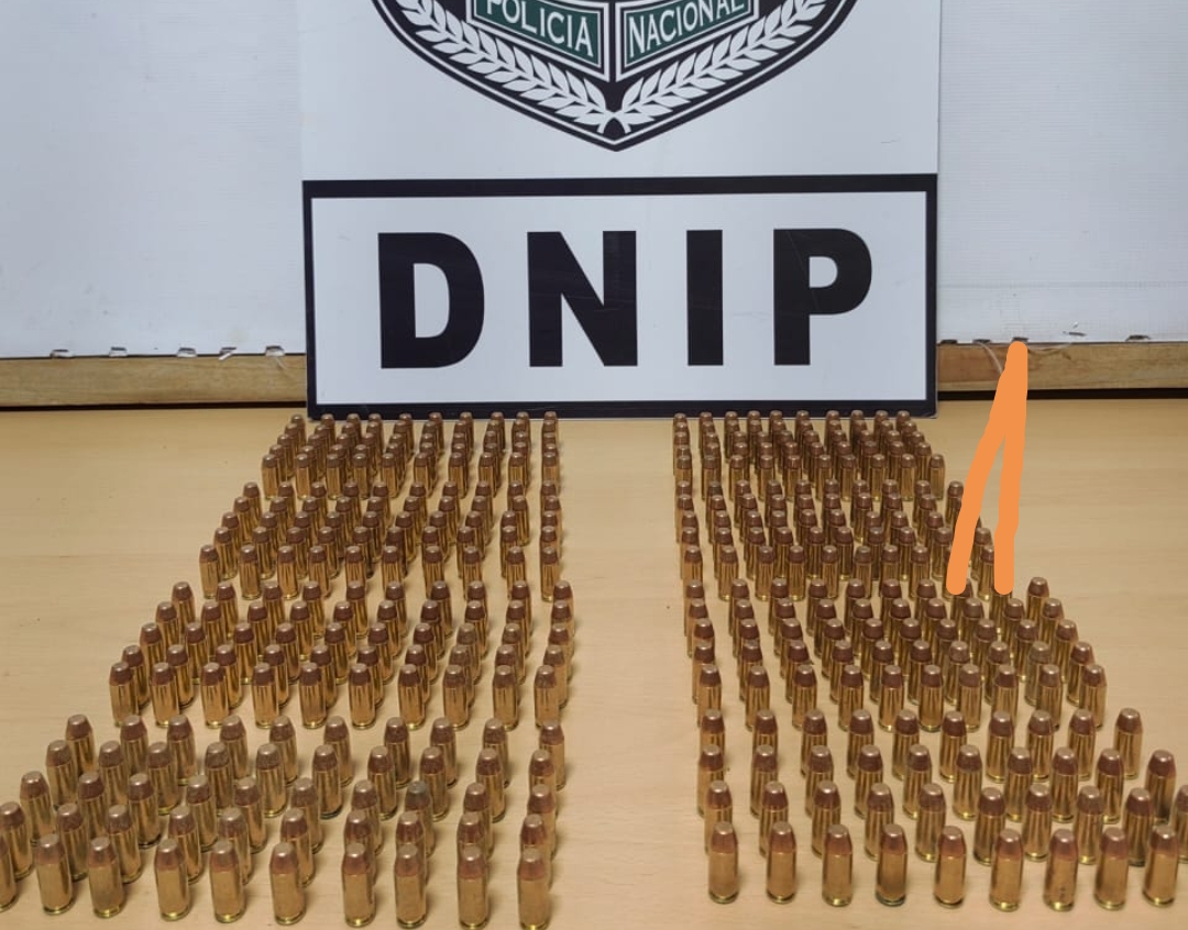 La incautación se dio en la provincia de Chiriquí. Foto: Cortesía 