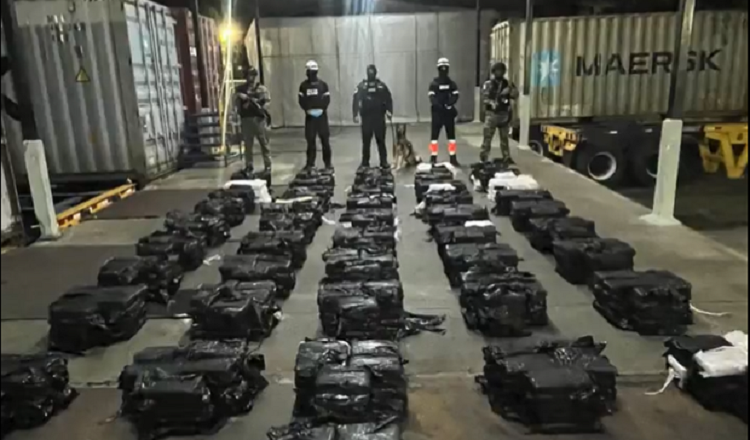 El cargamento incautado por las autoridades. 