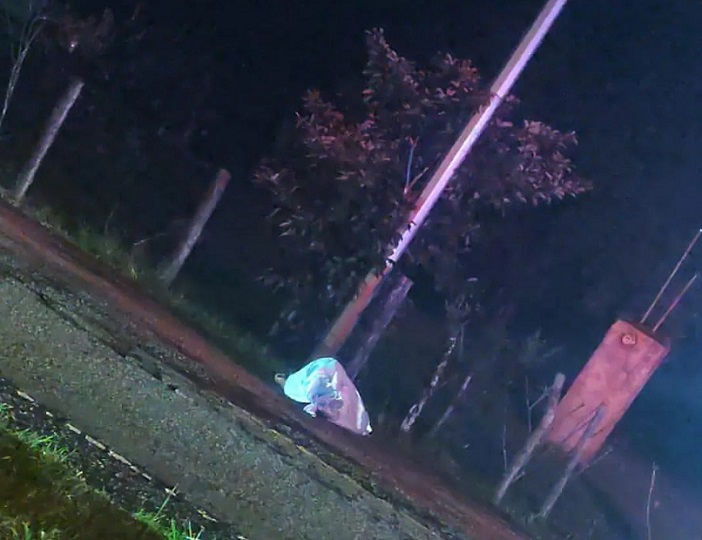 La persona murió en la escena del atropello.  /  Foto: la_verdadera_voz_de_veraguas