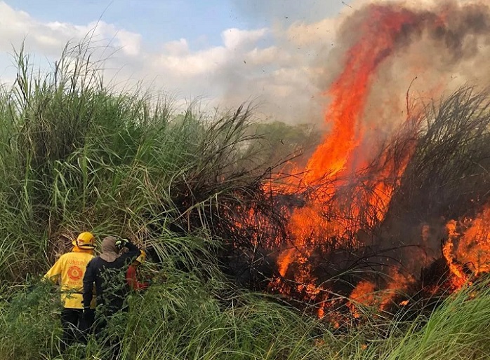 Muchos de los IMAVE se registran entre la 1:00 y 2:00 de la tarde.  /  Foto ilustrativa: BCBRP