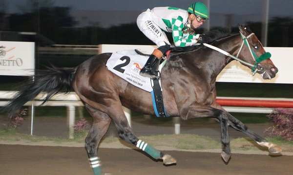 El ejemplar mexicano Lodyto Race en la recta final del Clásico Internacional del Caribe. Foto: Hipódromo Presidente Remón