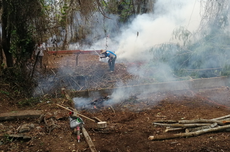 En la provincia de Panamá Oeste, durante los meses de verano de 2025, unas 27,67 hectáreas de áreas protegidas fueron pasto de las llamas.