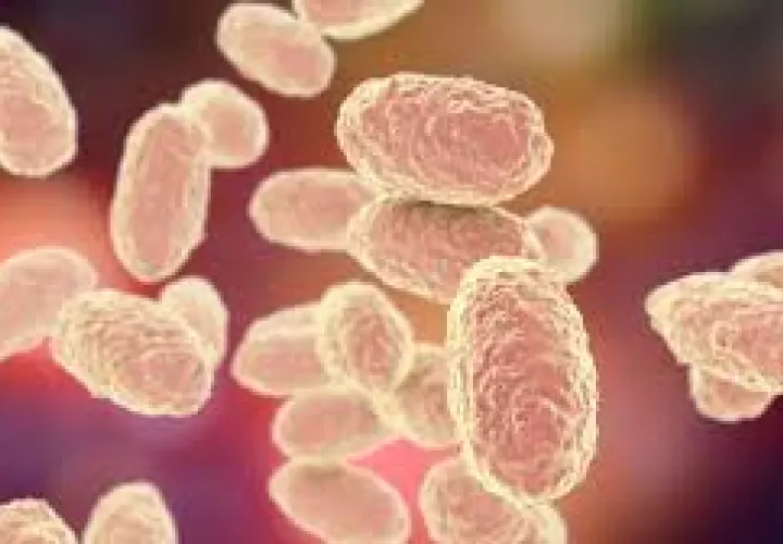 El Minsa mantiene vigilancia epidemiológica activa y exhorta a la población a acudir a los centros de salud para actualizar sus vacunas.