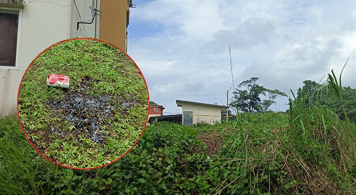 La víctima se encuentra recluida en Cuidados intensivos.  /  Fotocomposición: Diómedes Sánchez