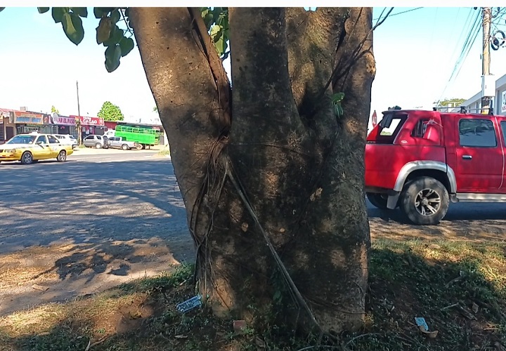 Se recomienda a los conductores extremar las medidas de precaución al circular por este sector y respetar los límites de velocidad, a fin de reducir el riesgo de accidentes. Foto. Melquíades Vásquez