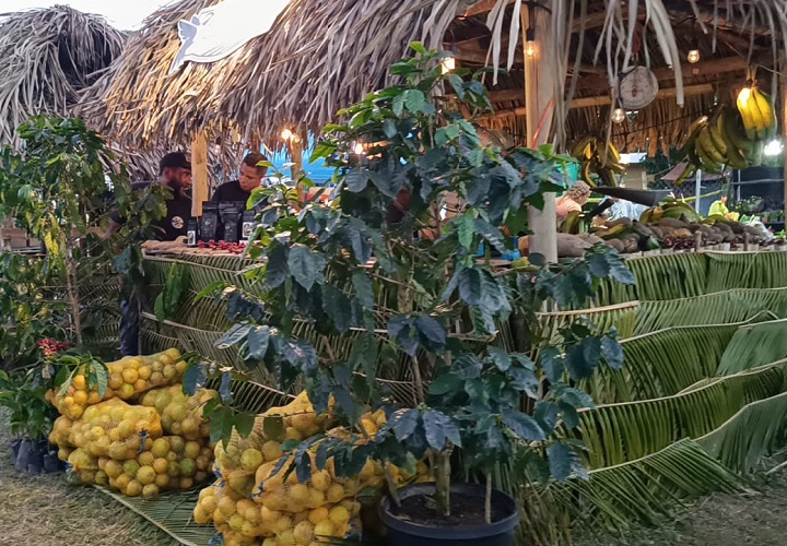 La Feria de la Naranja, feria es también una vitrina para los artesanos que trabajan con la beyota, el junco y la chonta para la confección de sombreros. Foto. Eric Montenegro