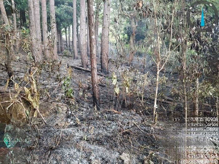 Tres equipos se mantienen vigilantes de las áreas de masa vegetal en Panamá Oeste.  /  Foto: Eric Montenegro