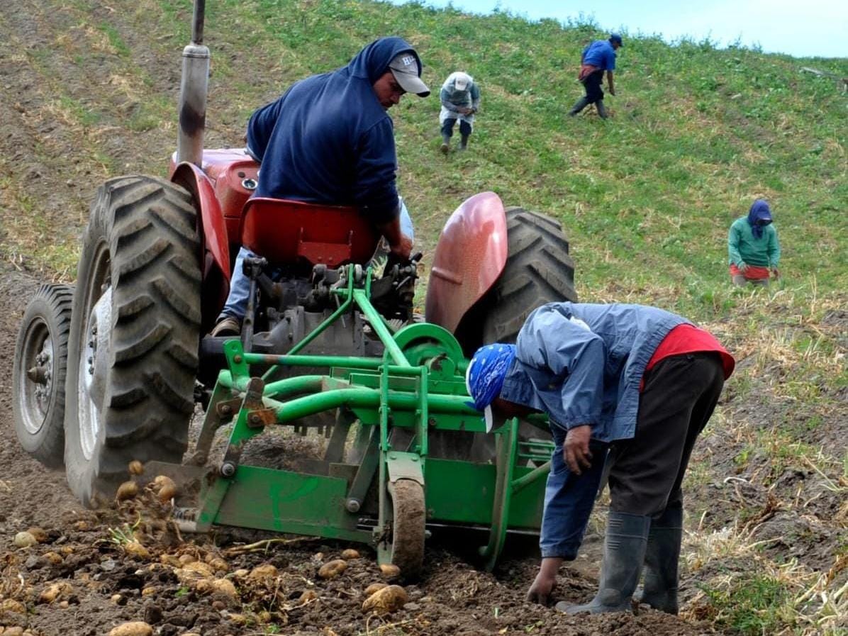 El Banco de Desarrollo Agropecuario logró recuperar 37.4 millones de balboas en capital, lo que representa un 112.12%, además de 3.5 millones en intereses.